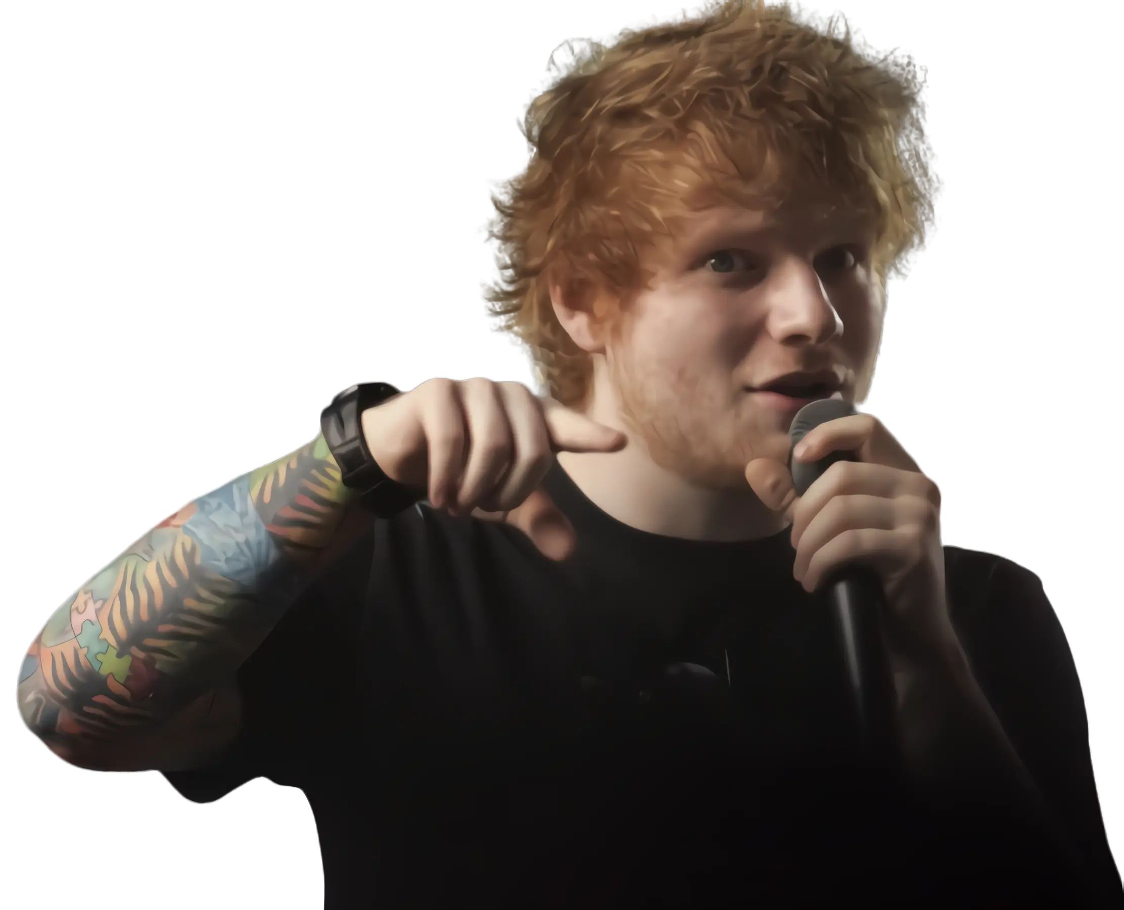 Person Holding Microphone During Performance