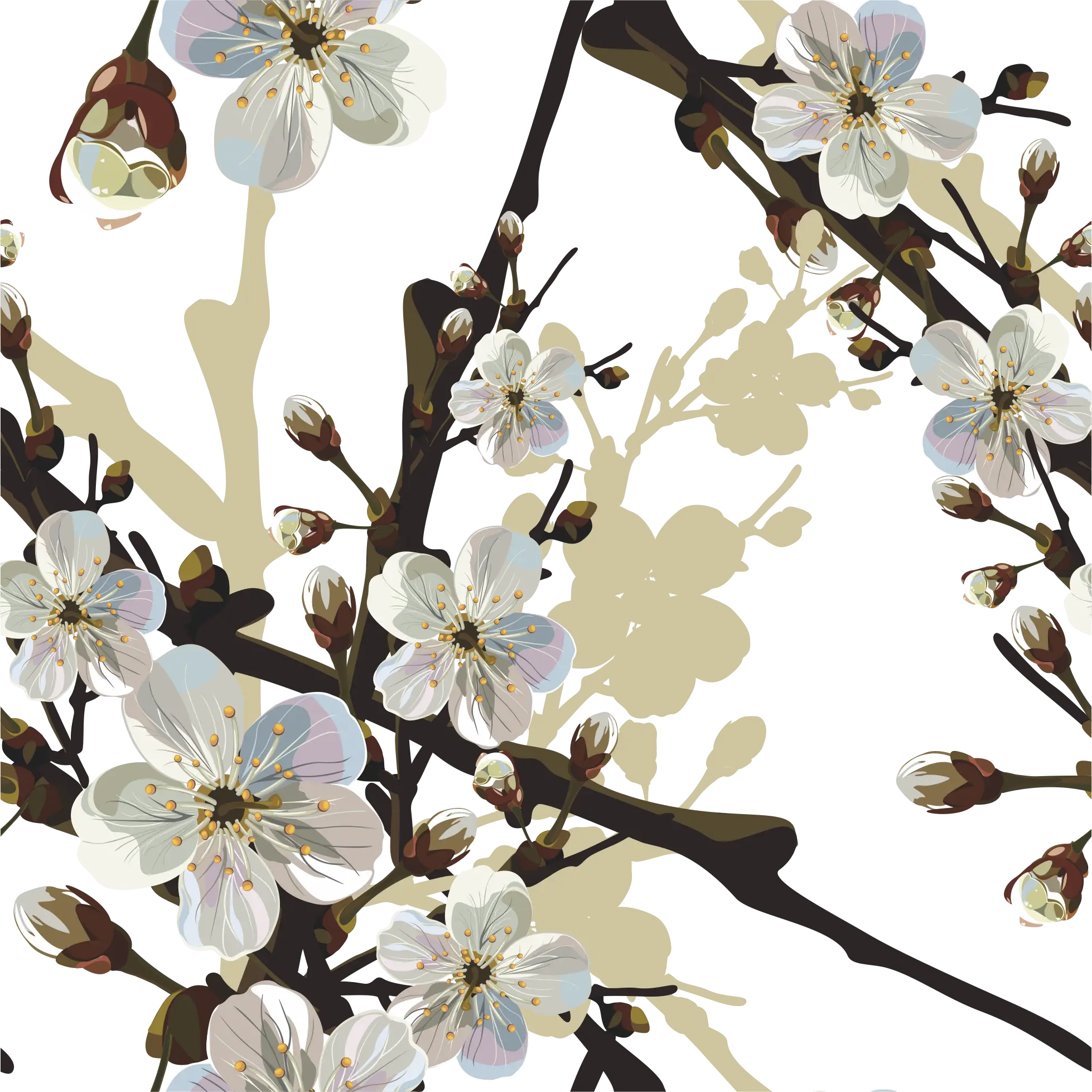 White Cherry Blossoms on Decorative Branches