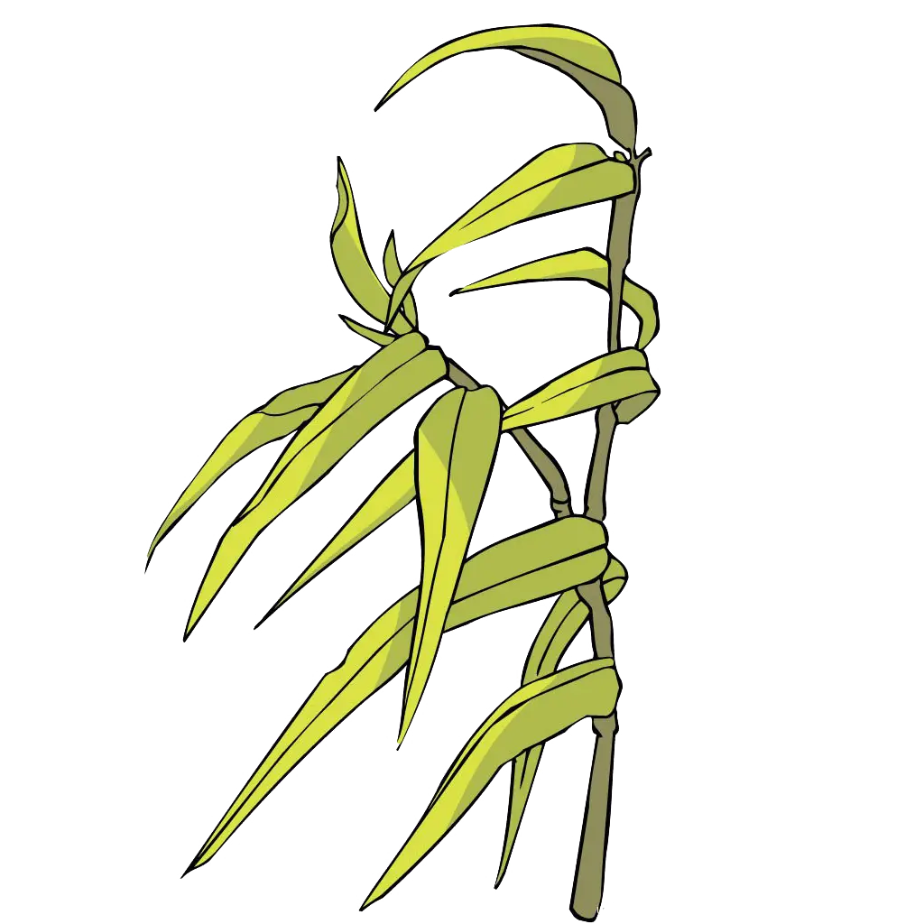 Green Bamboo Plant