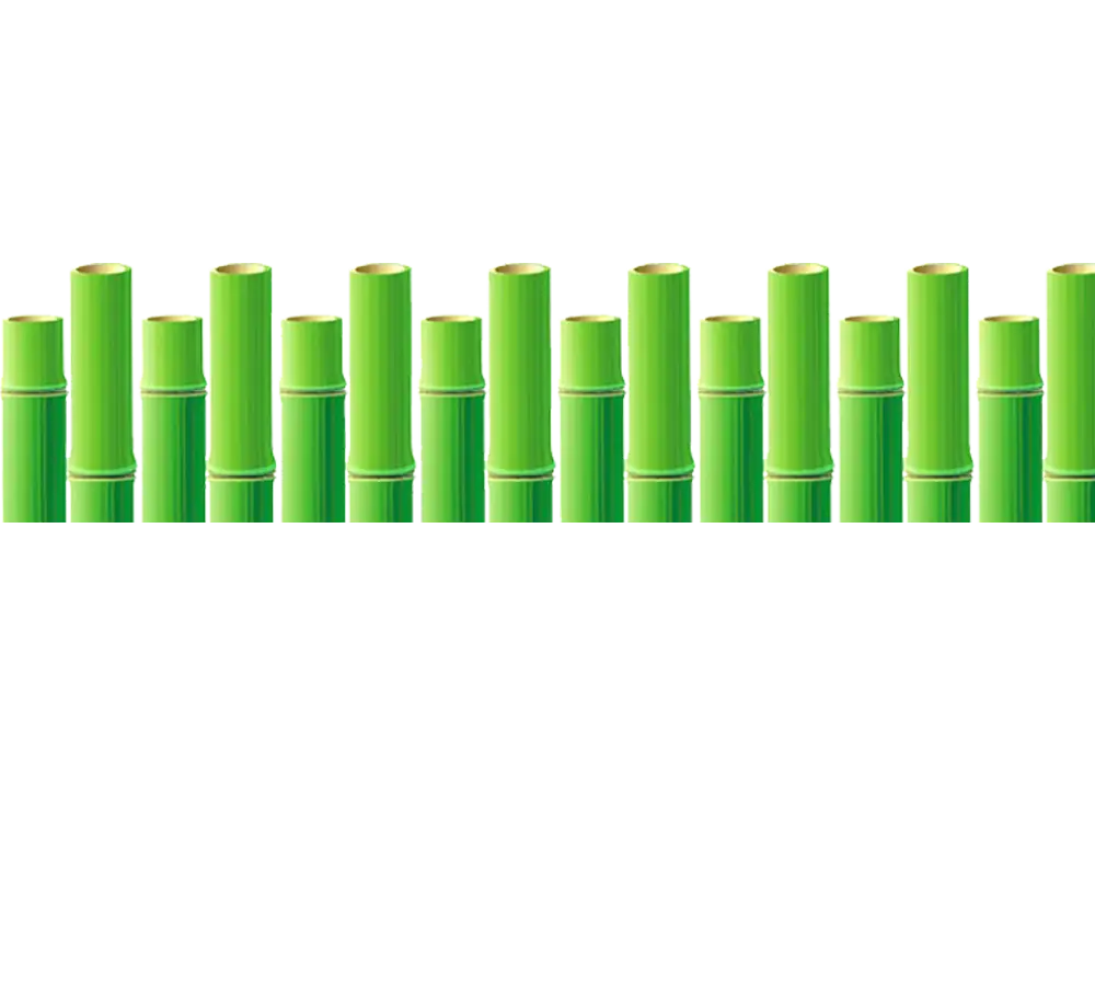 Green Bamboo Sticks