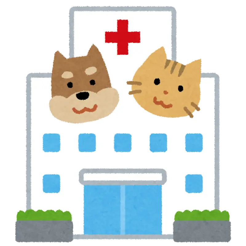 Cute Animal Hospital