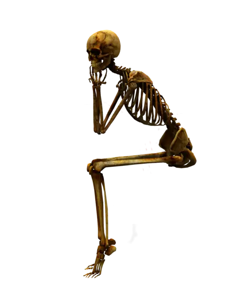 Thinking Skeleton in a Contemplative Pose