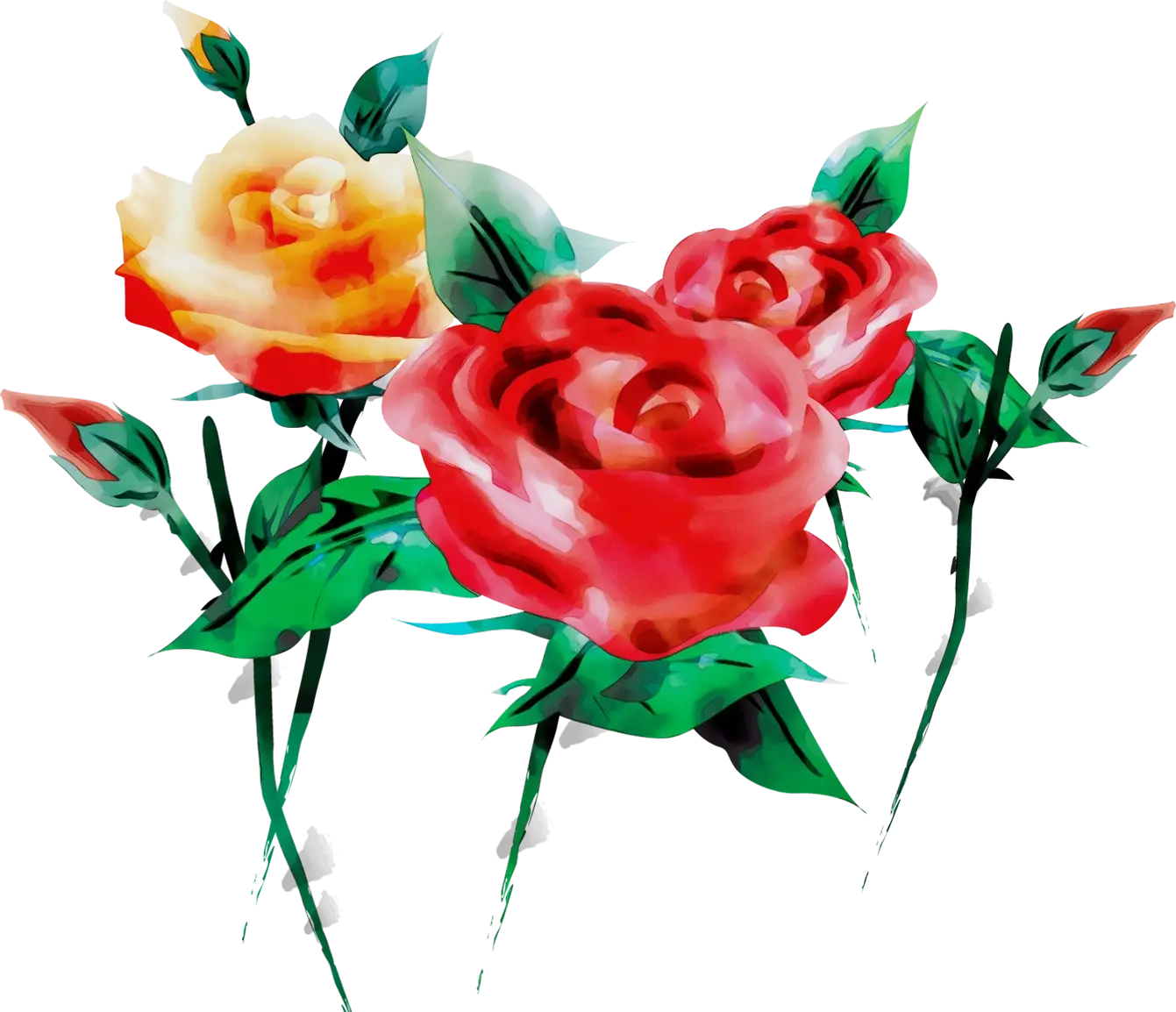 Colorful Roses in a Bouquet Illustration