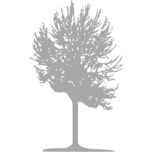 Minimalist Tree Silhouette