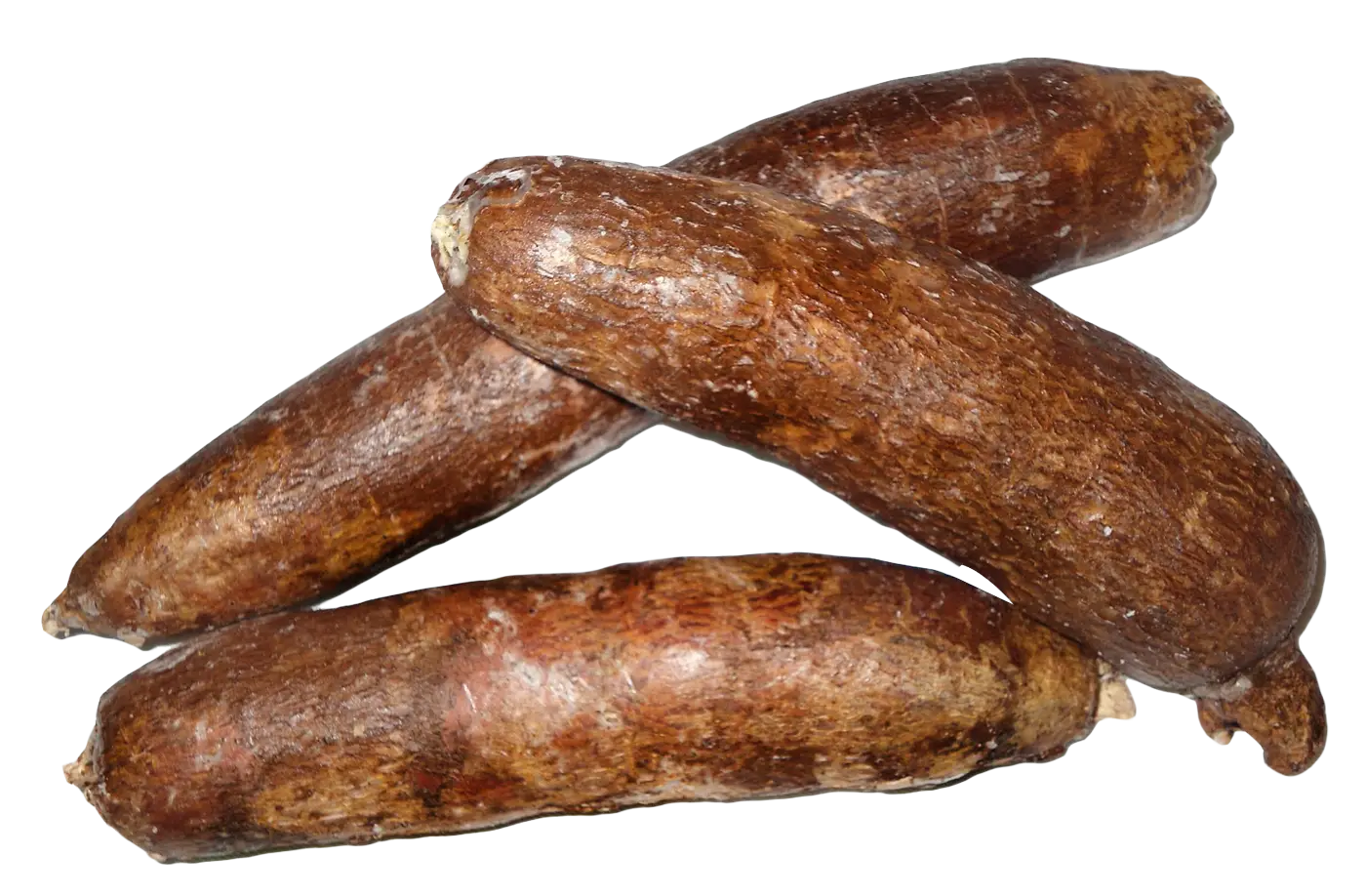 Brown Cassava Root Vegetable