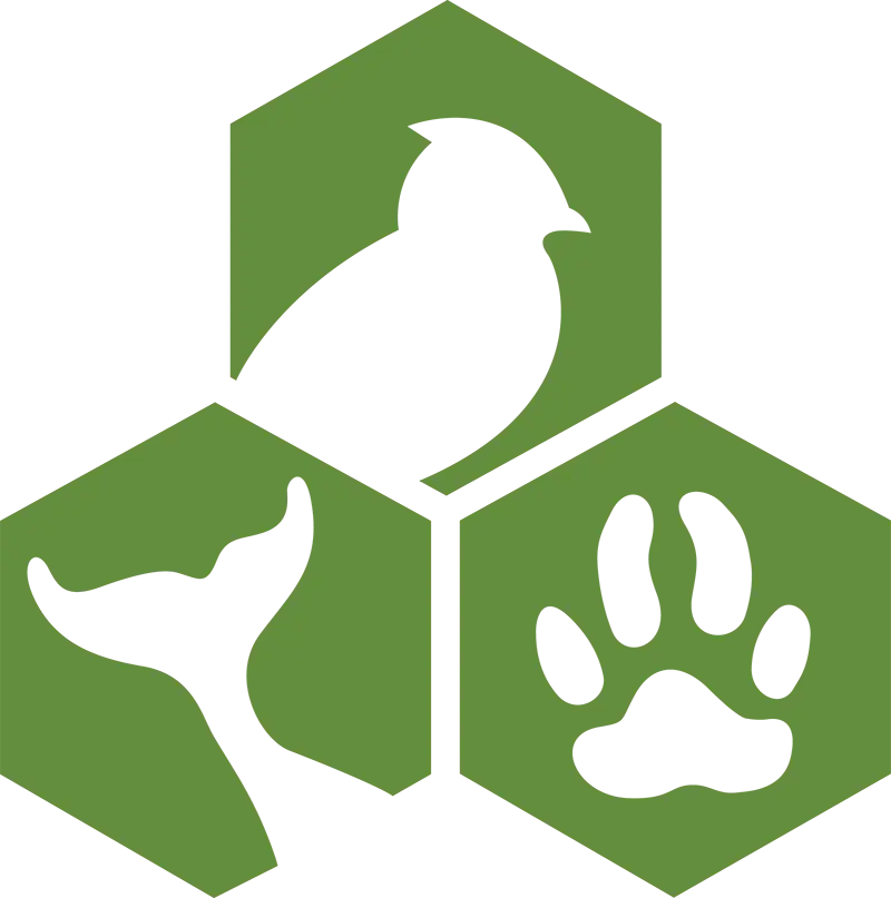 Green Animal Icons