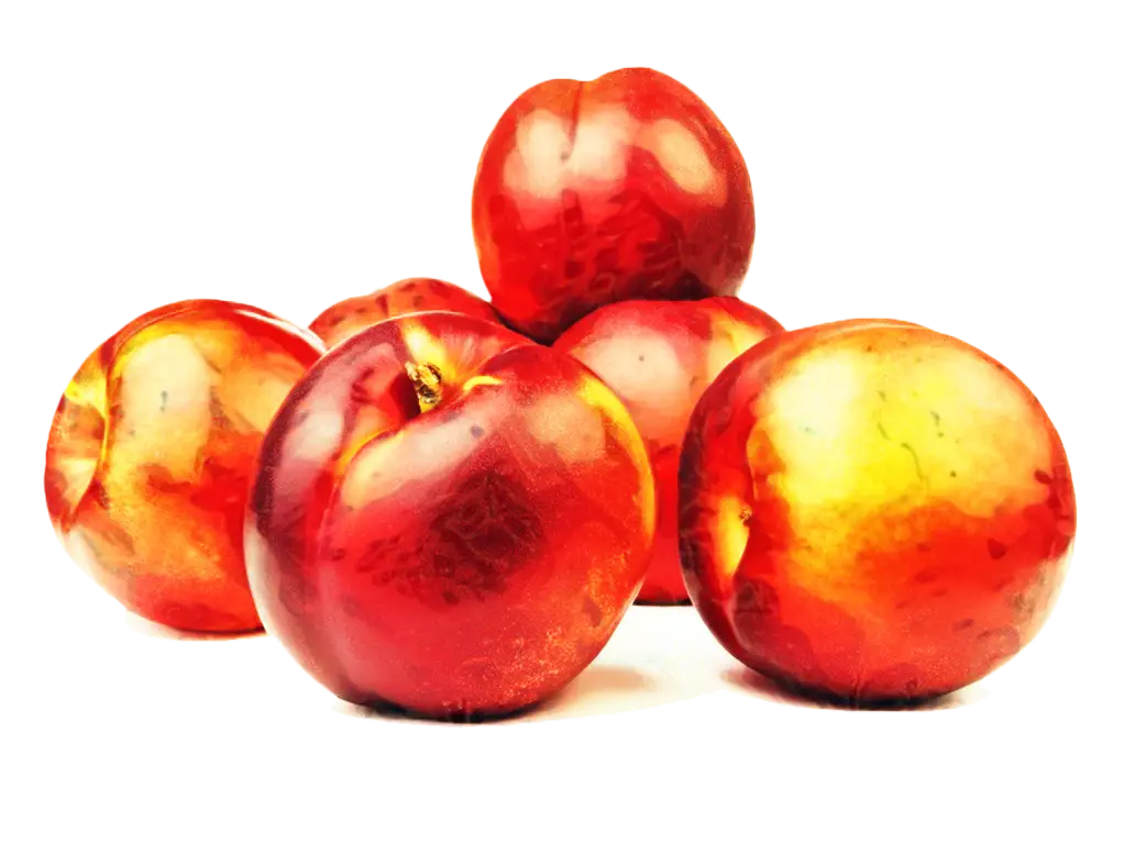 Shiny and Fresh Nectarines