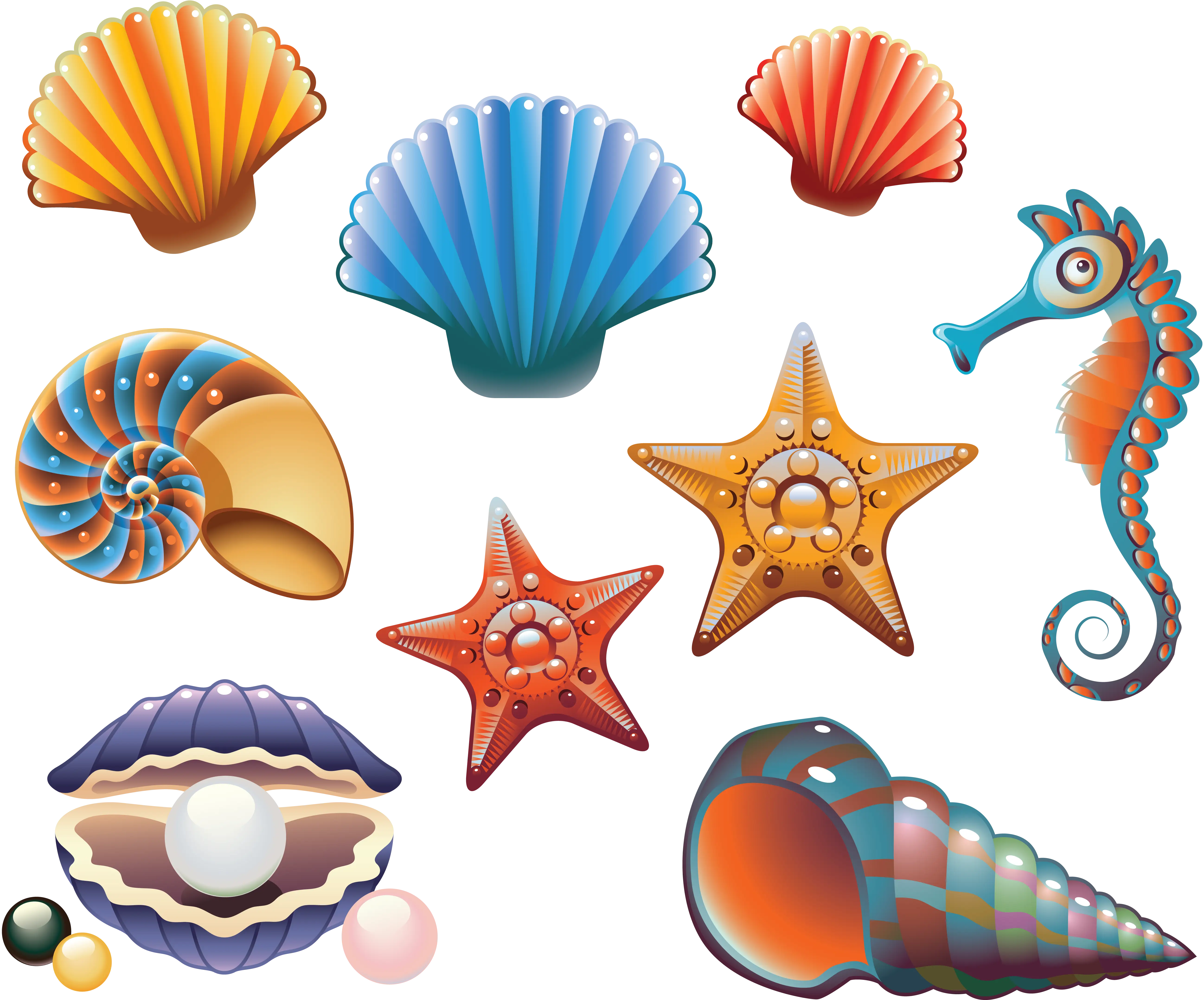 Colorful Seashells and Marine Creatures Illustration