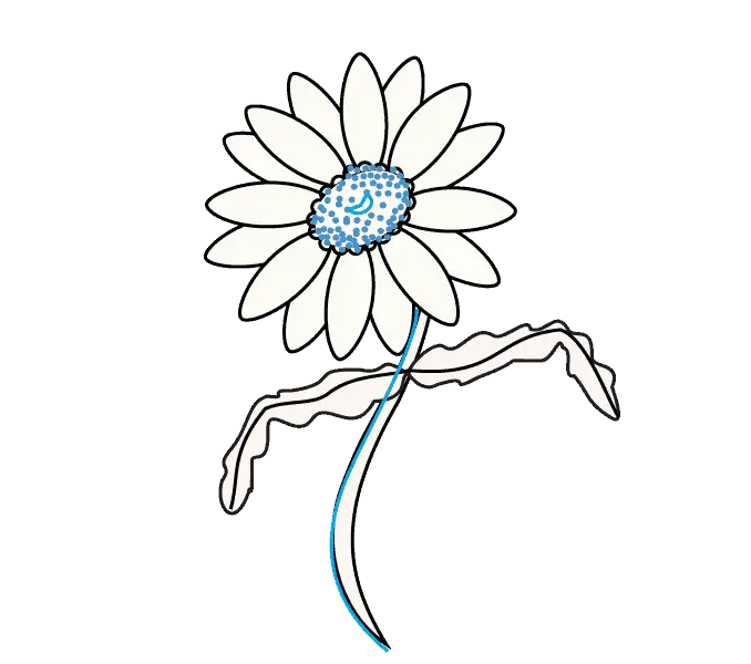 Daisy Flower Outline Drawing