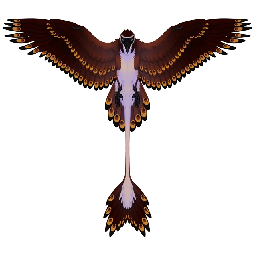 Bird-Shaped Kite in Flight