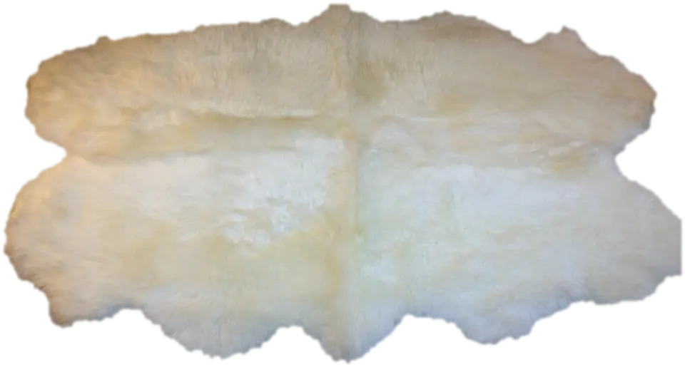 Old Parchment Paper