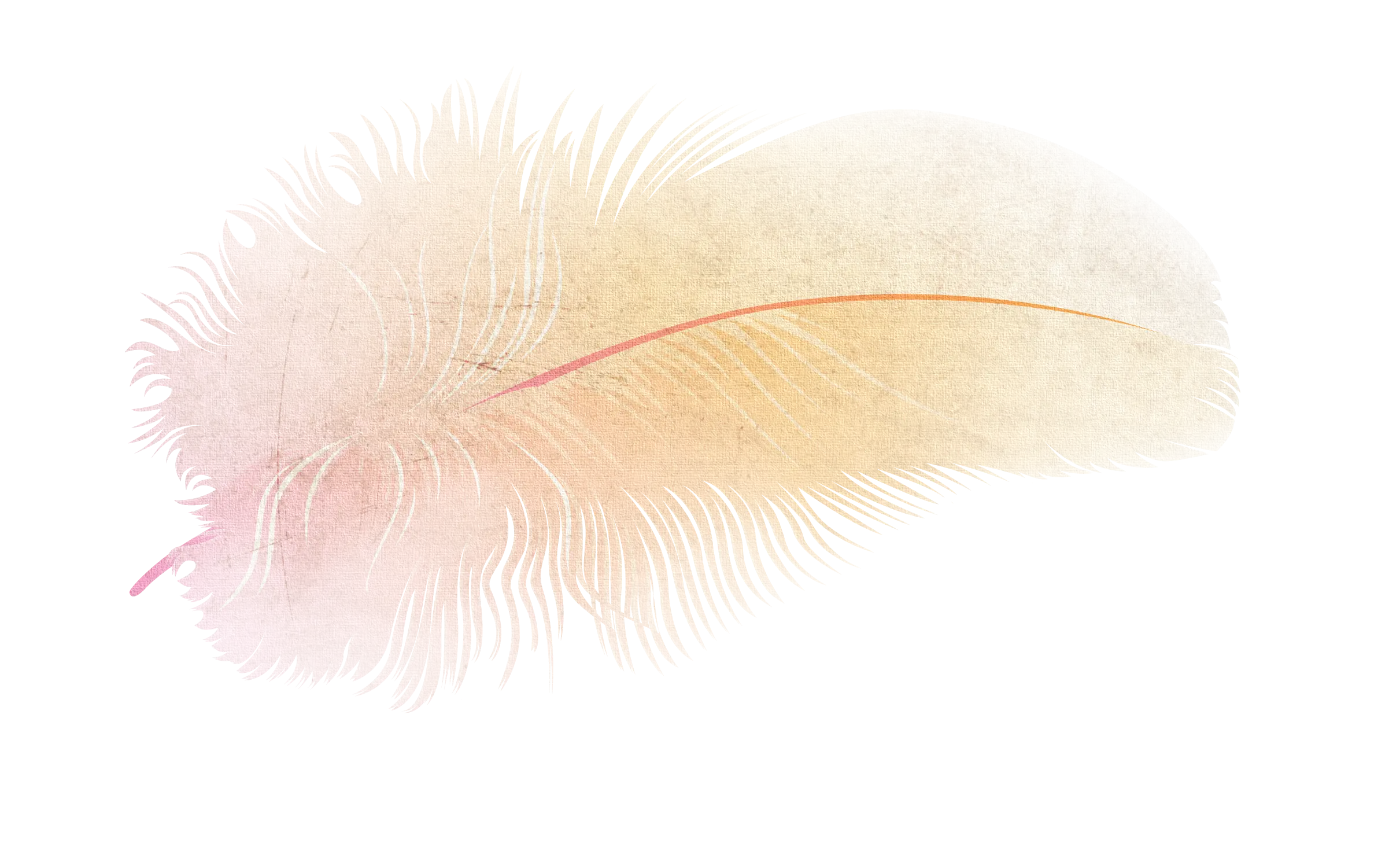 Soft Feather