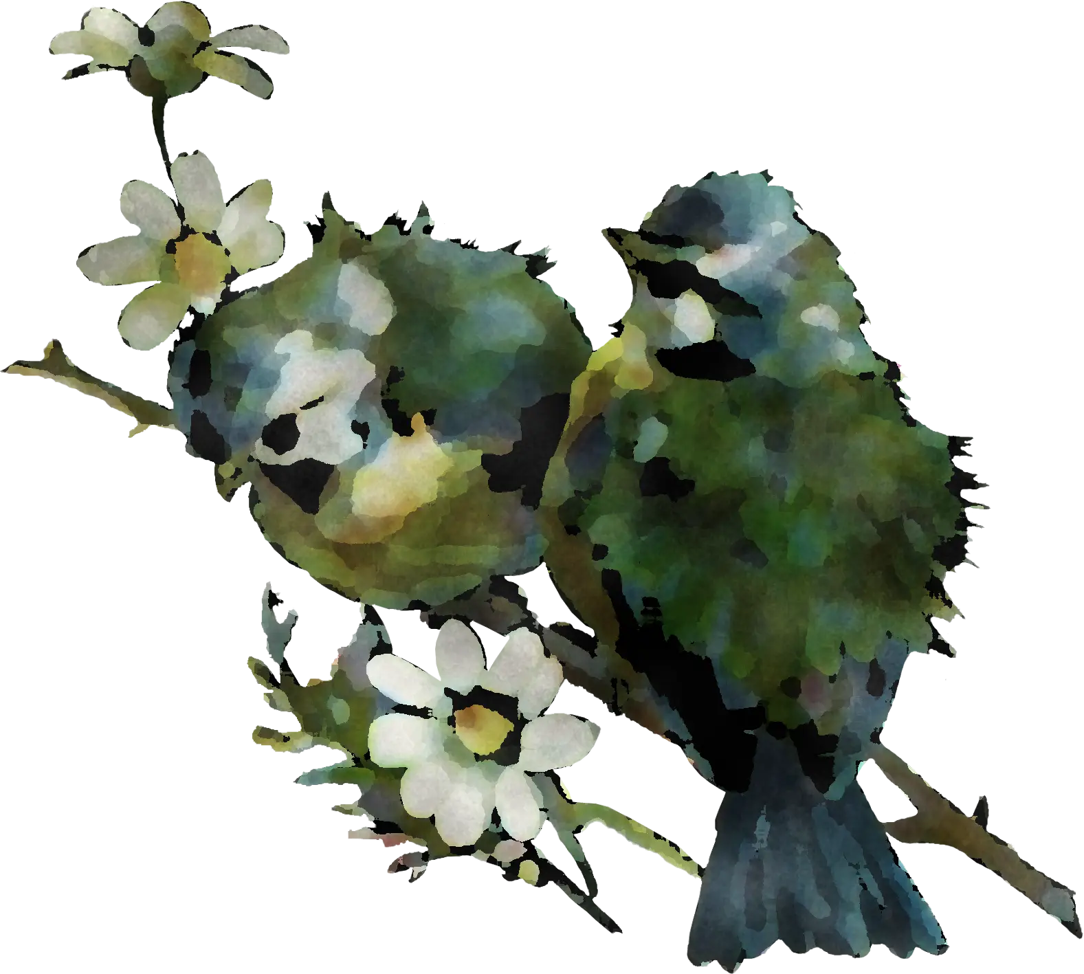 Beautiful Birds on a Flowering Branch