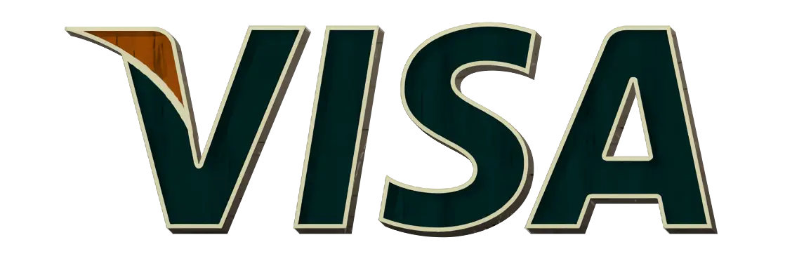 visa icon