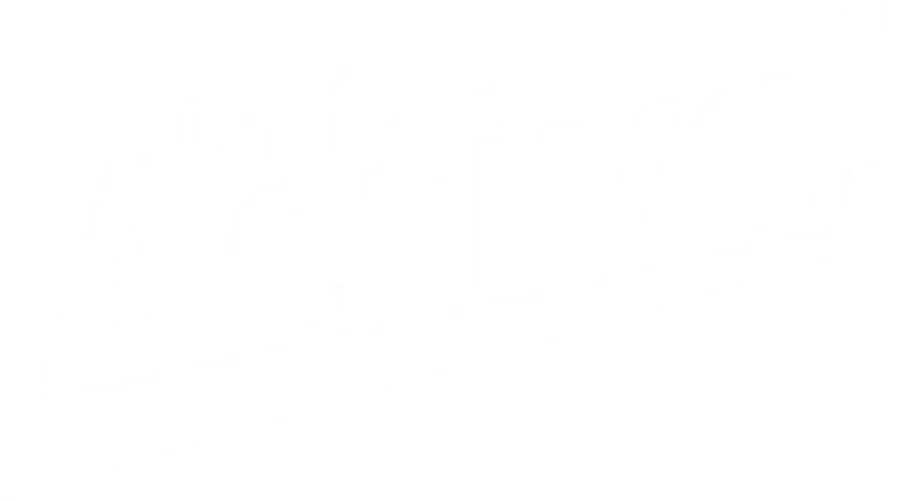 White Text Logo with Clean Typography Design