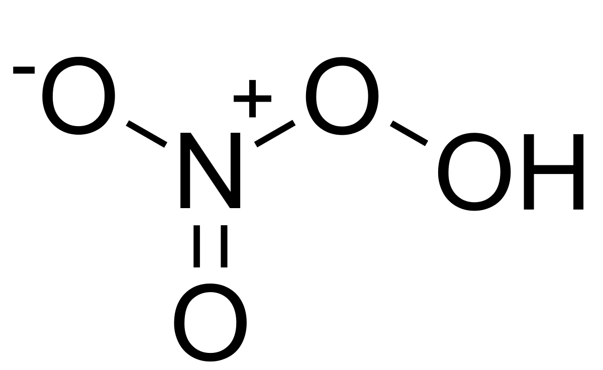 Peroxynitric Acid Molecular Structure