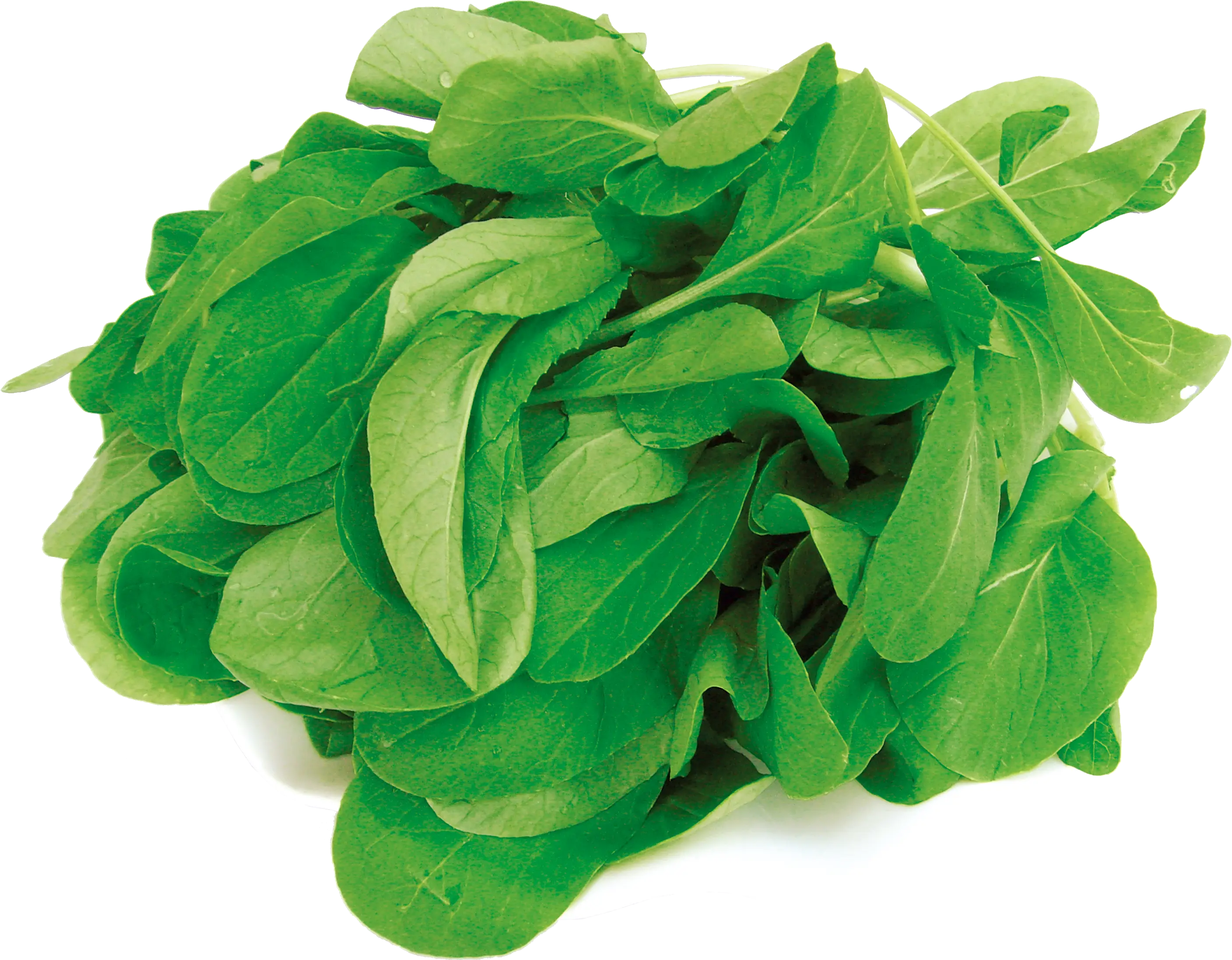 Fresh Green Spinach Leaves