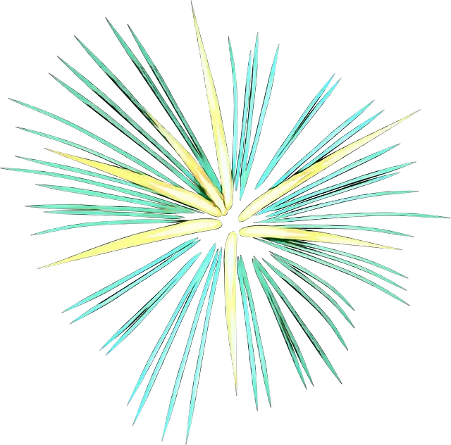 Colorful Starburst Shape Illustration