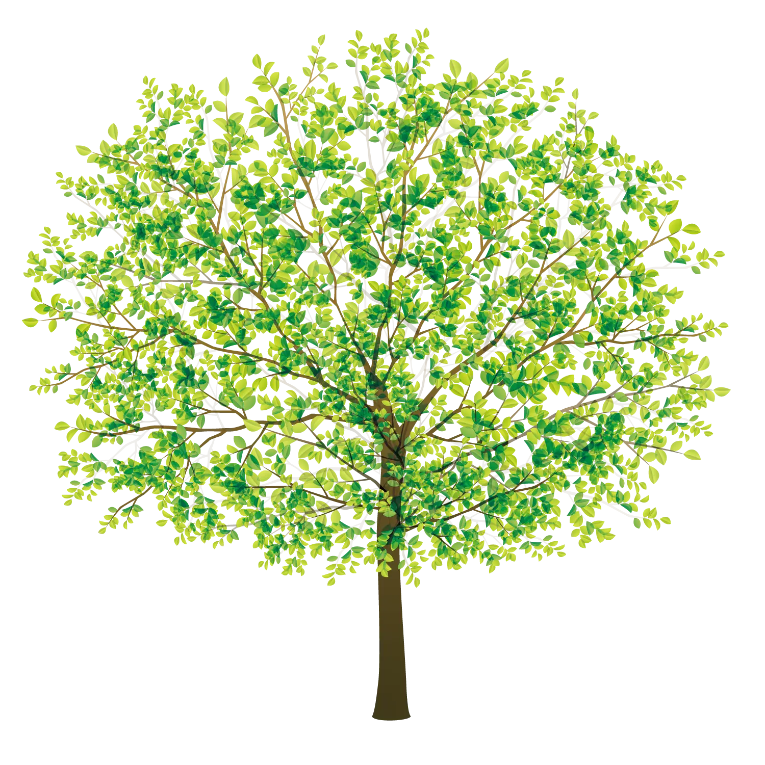 Lush Green Tree Illustration