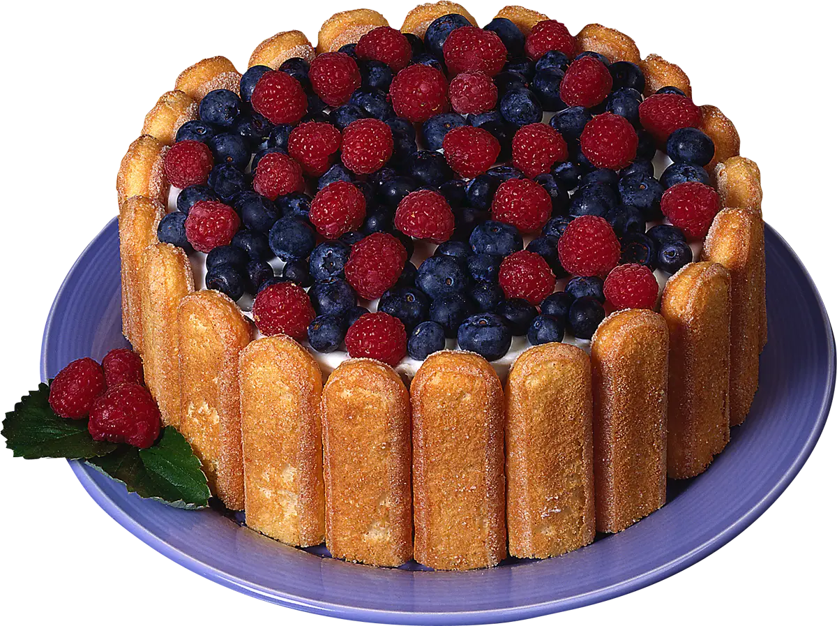 Delicious Fruit Charlotte Cake with Berries