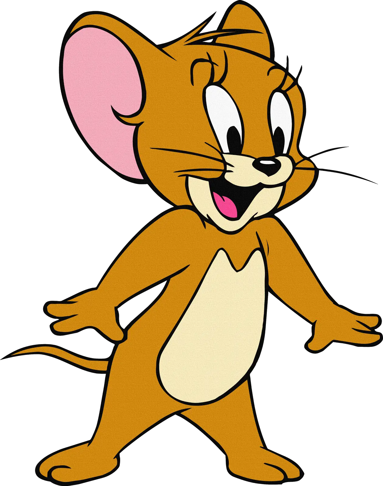 Cartoon Mouse Character