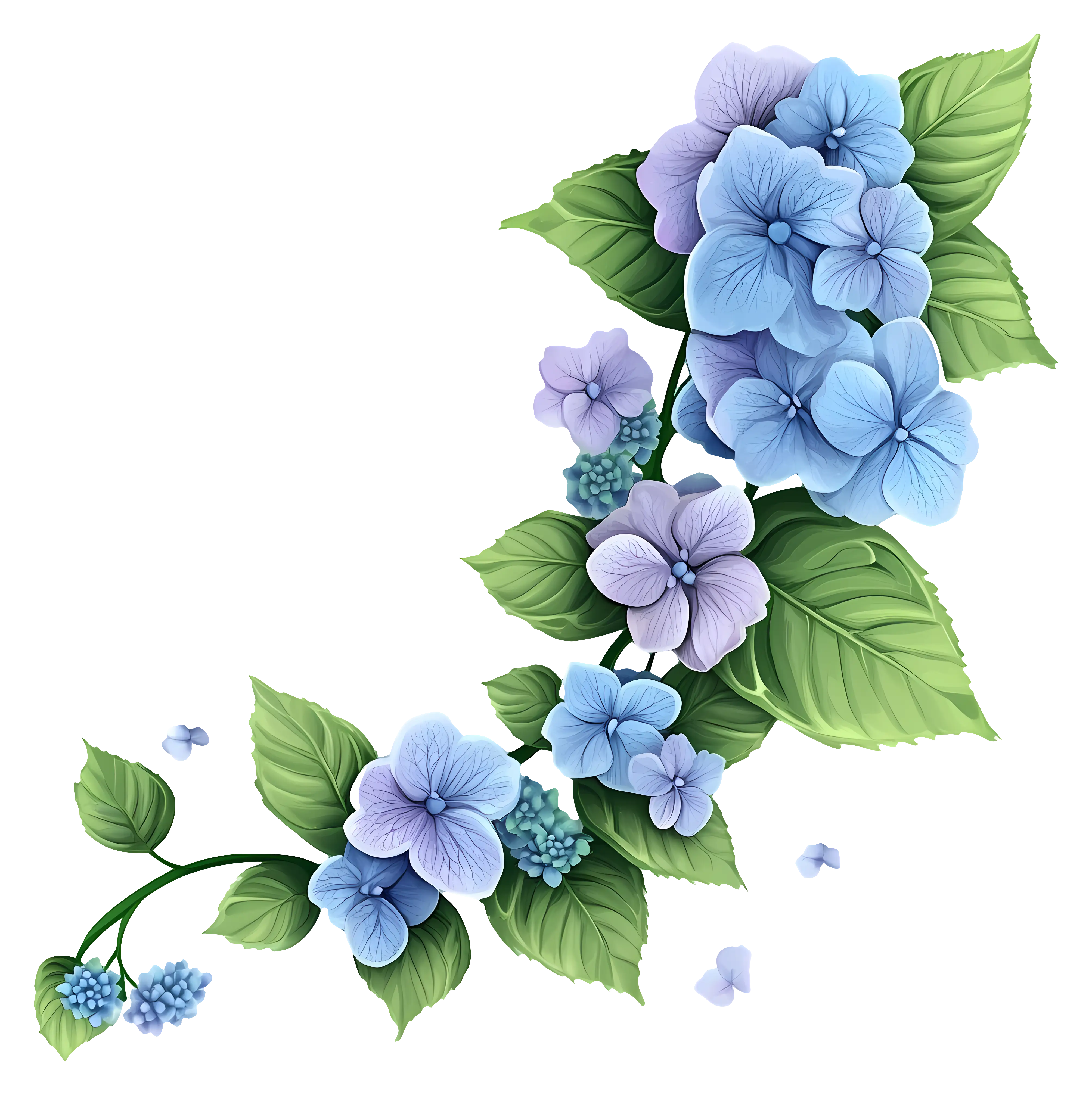 Beautiful Blue Hydrangea Flower