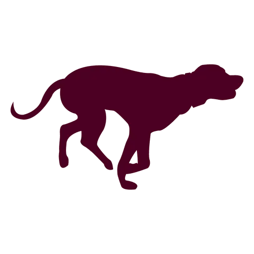 Dark Dog Silhouette in Motion