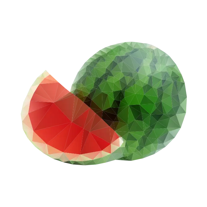 Juicy Watermelon Slice