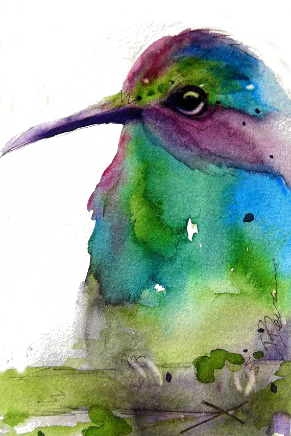 Colorful Hummingbird