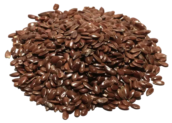 Pile of Flax Seeds