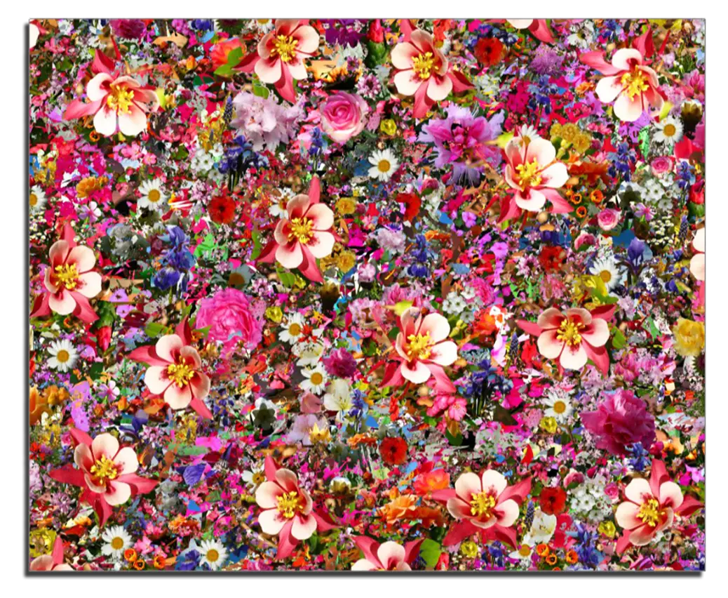 Colorful Floral Pattern