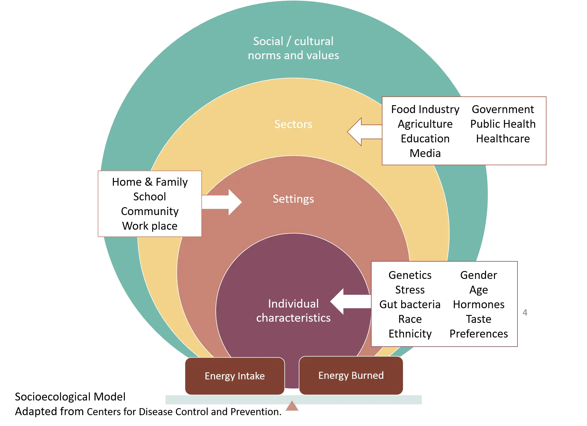 Sociological Model Diagram for Health