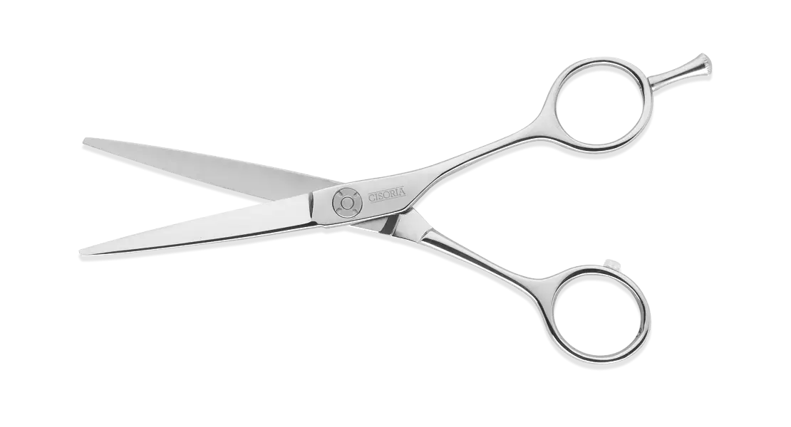 Sharp Silver Scissors with Metal Handles