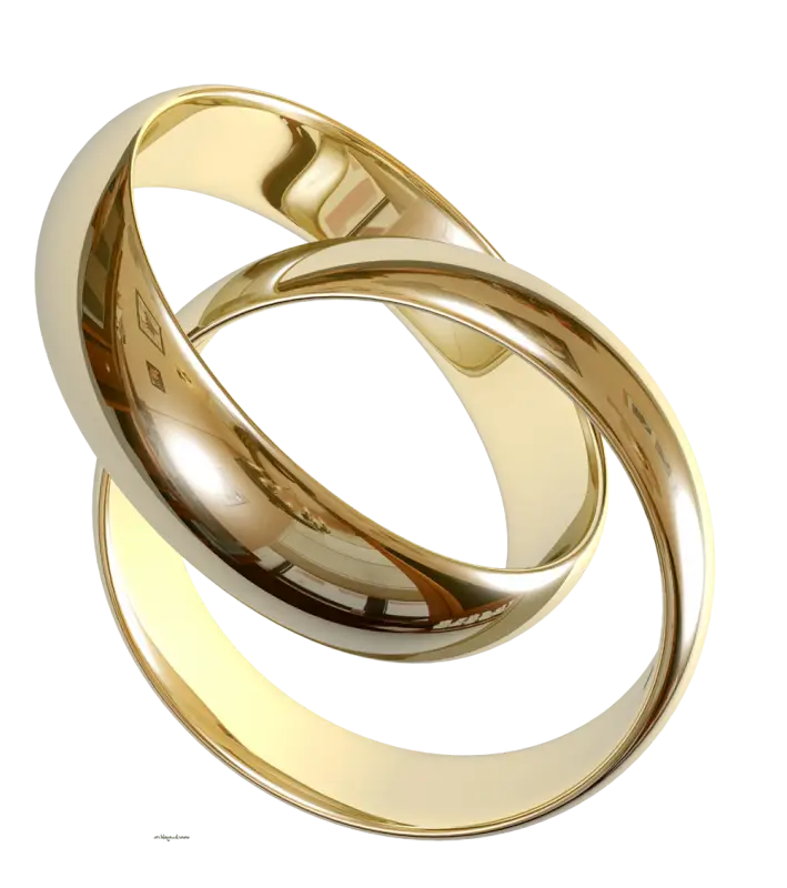 Golden Wedding Rings