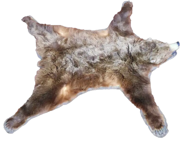 Brown Bear Skin Rug for Rustic Decor