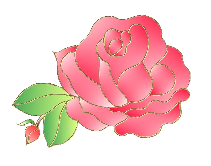 Beautiful Pink Rose Illustration