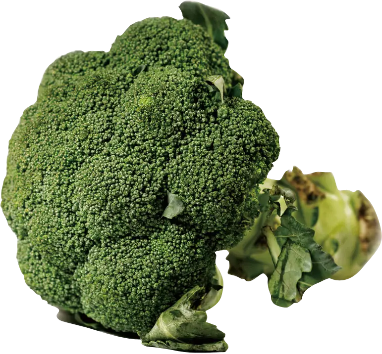 Fresh Green Broccoli for Healthy Eating
