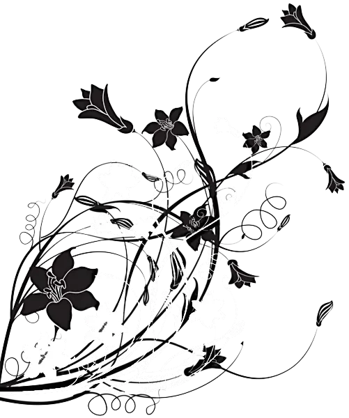 Black Floral Design Illustration