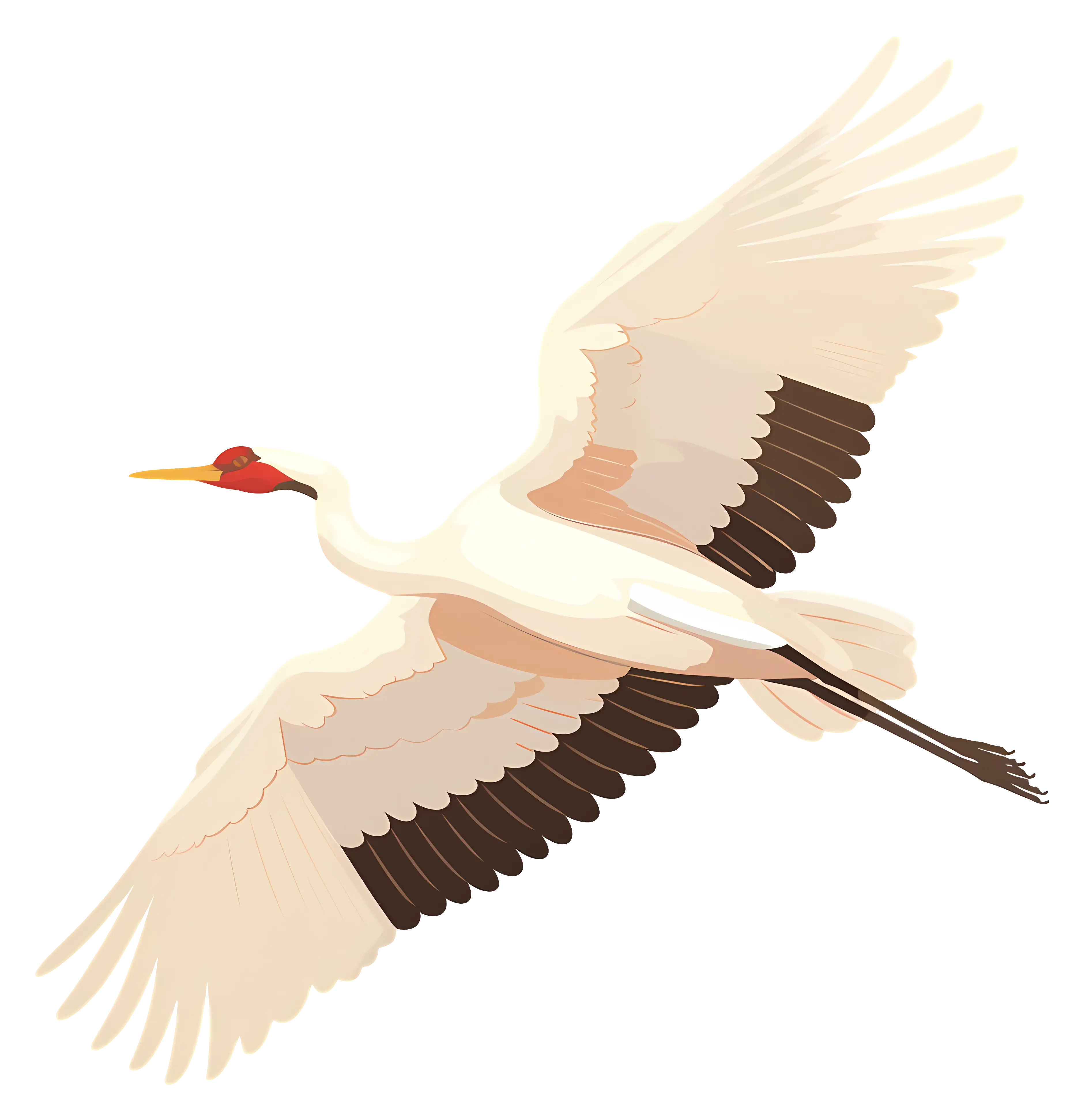 Elegant Flying Crane