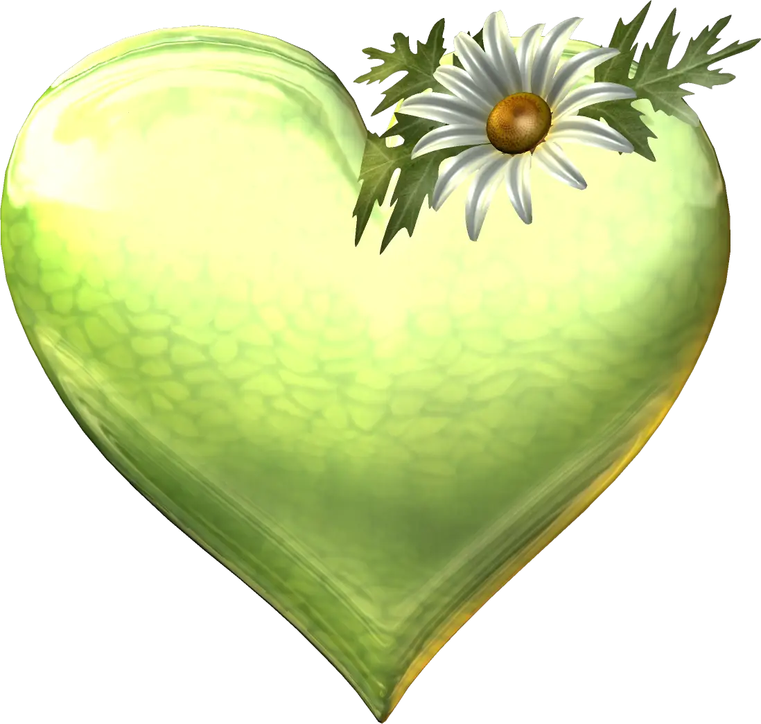 Green Heart with Daisy Flower