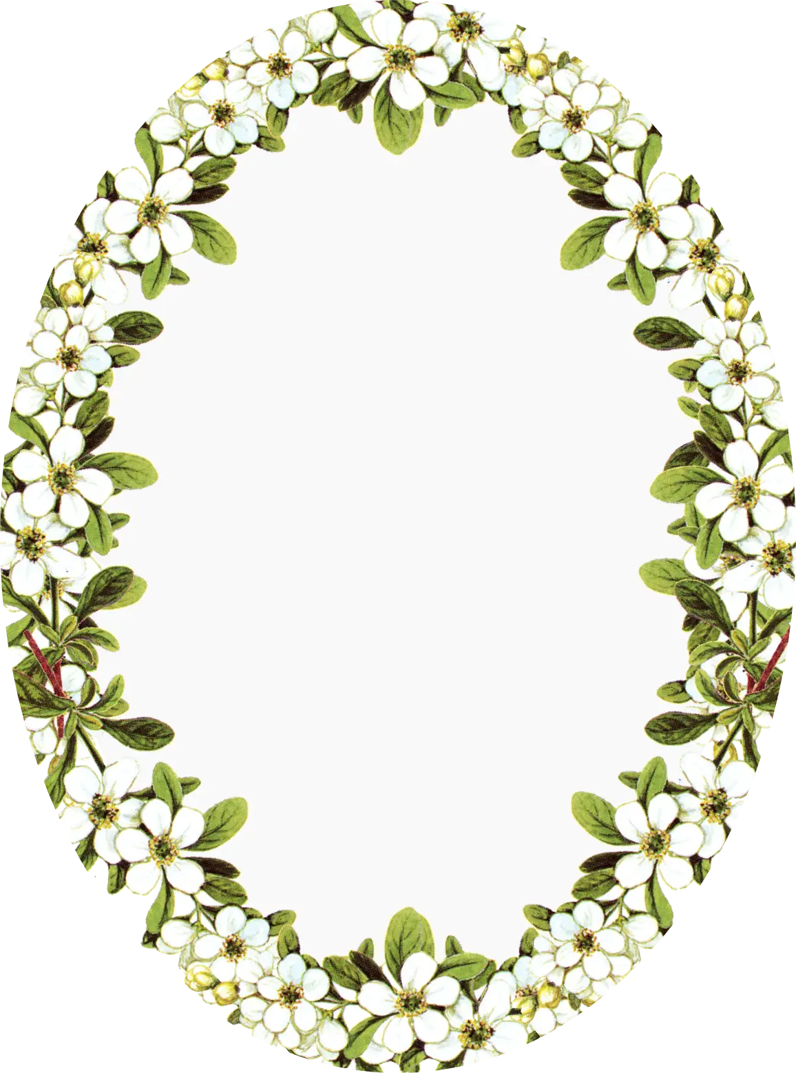 Beautiful Floral Oval Frame