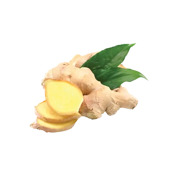 Ginger Root with Leaves and Slices
