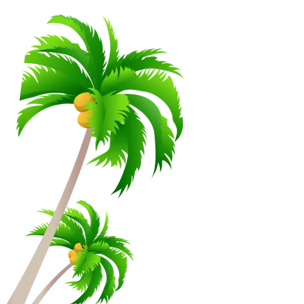Green Palm Trees Illustration for Tropical Themes