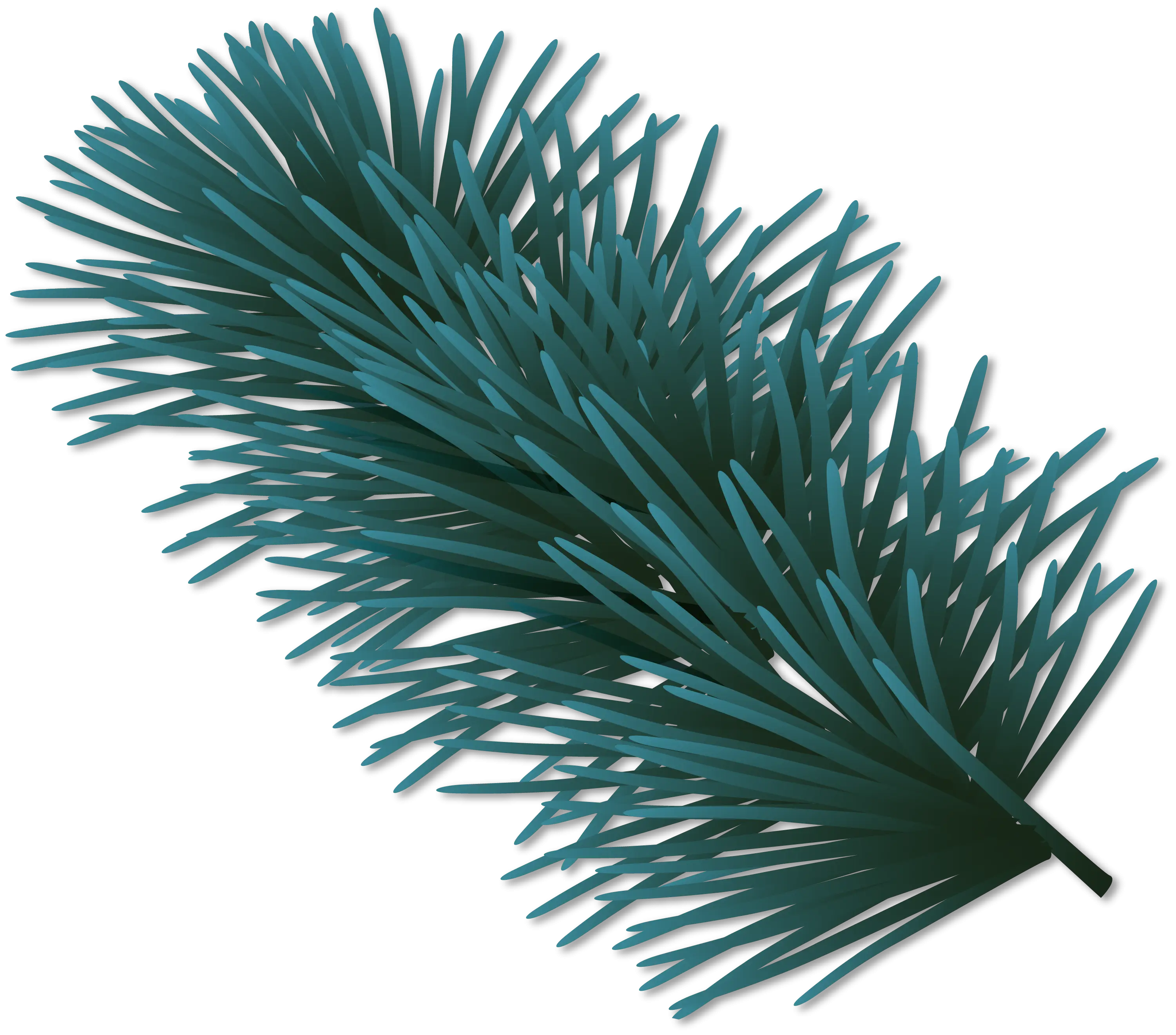 Pine Branch Plant