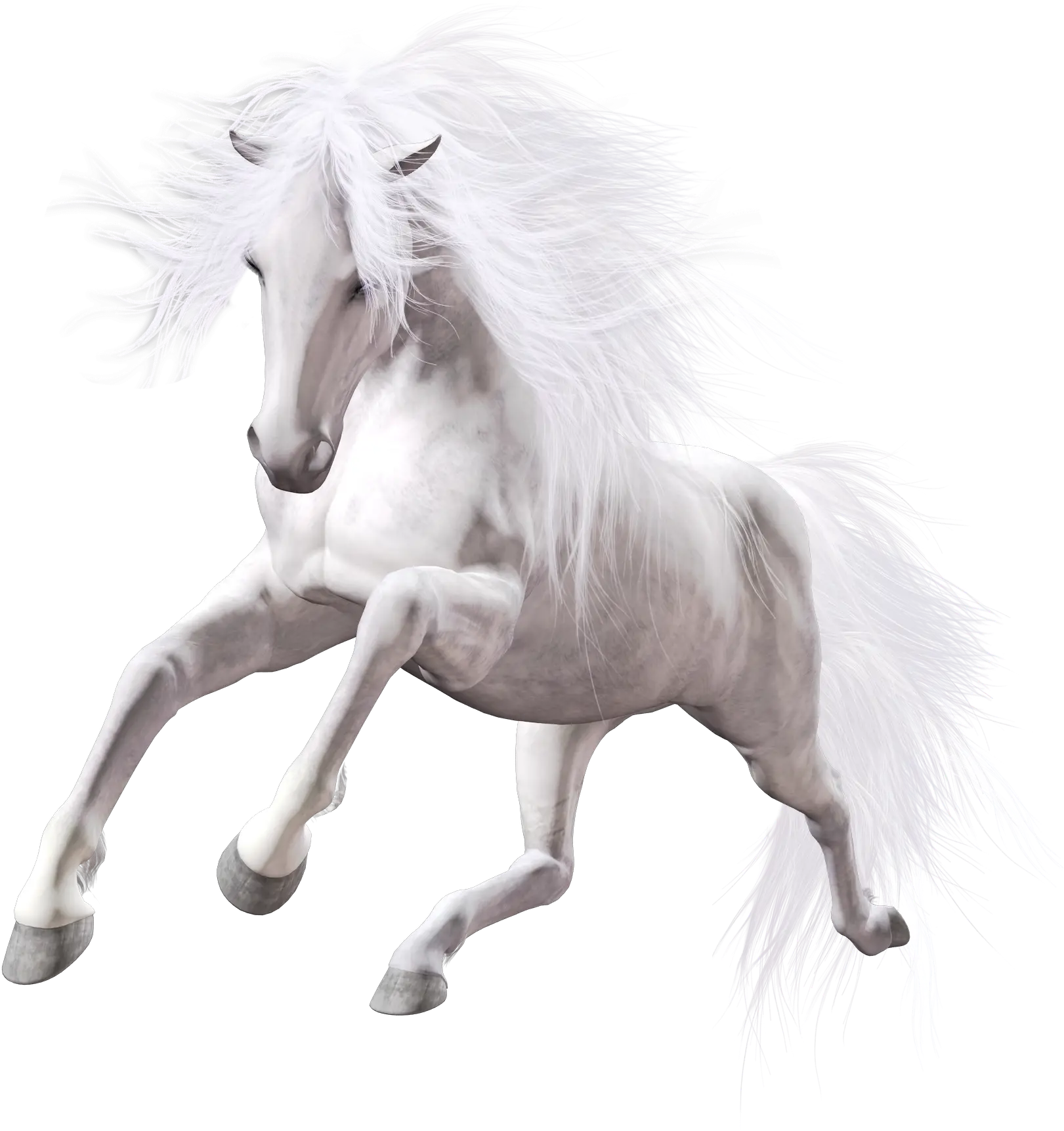 White Galloping Horse in Motion