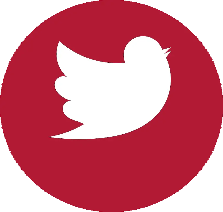 Red Twitter Logo Icon
