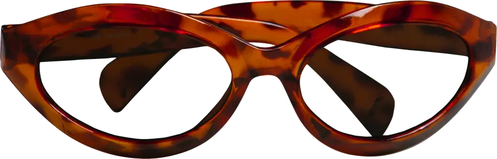 Classic Tortoiseshell Glasses for Style