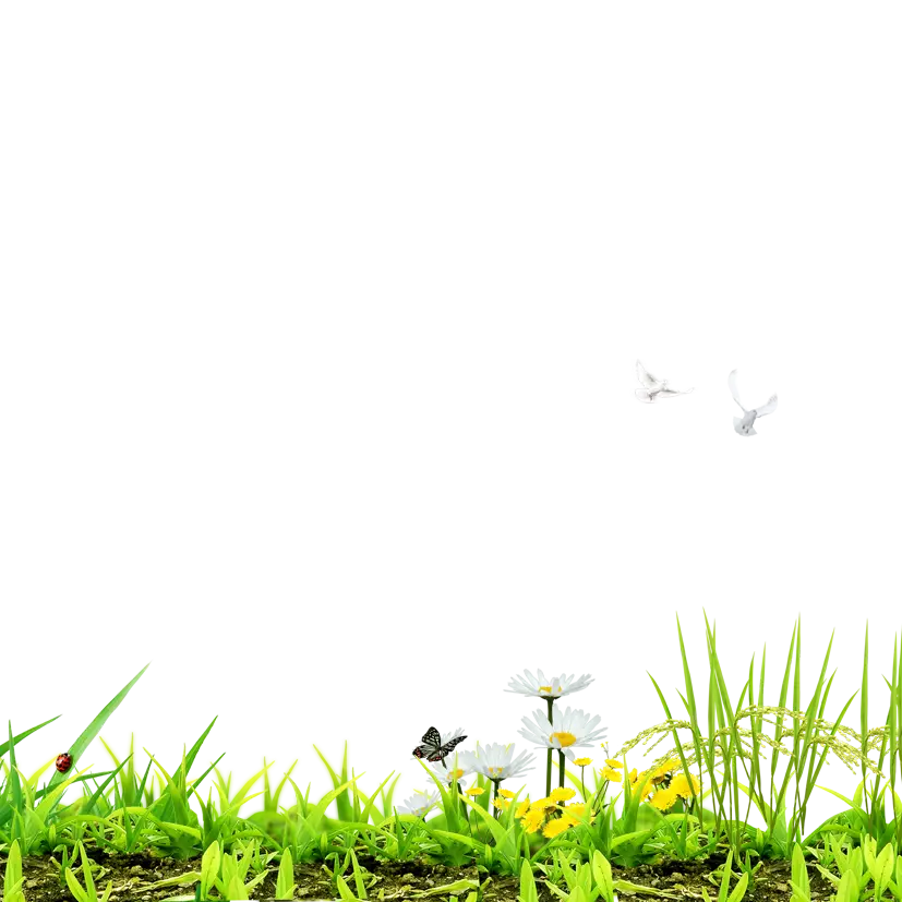Spring Grass and Flowers