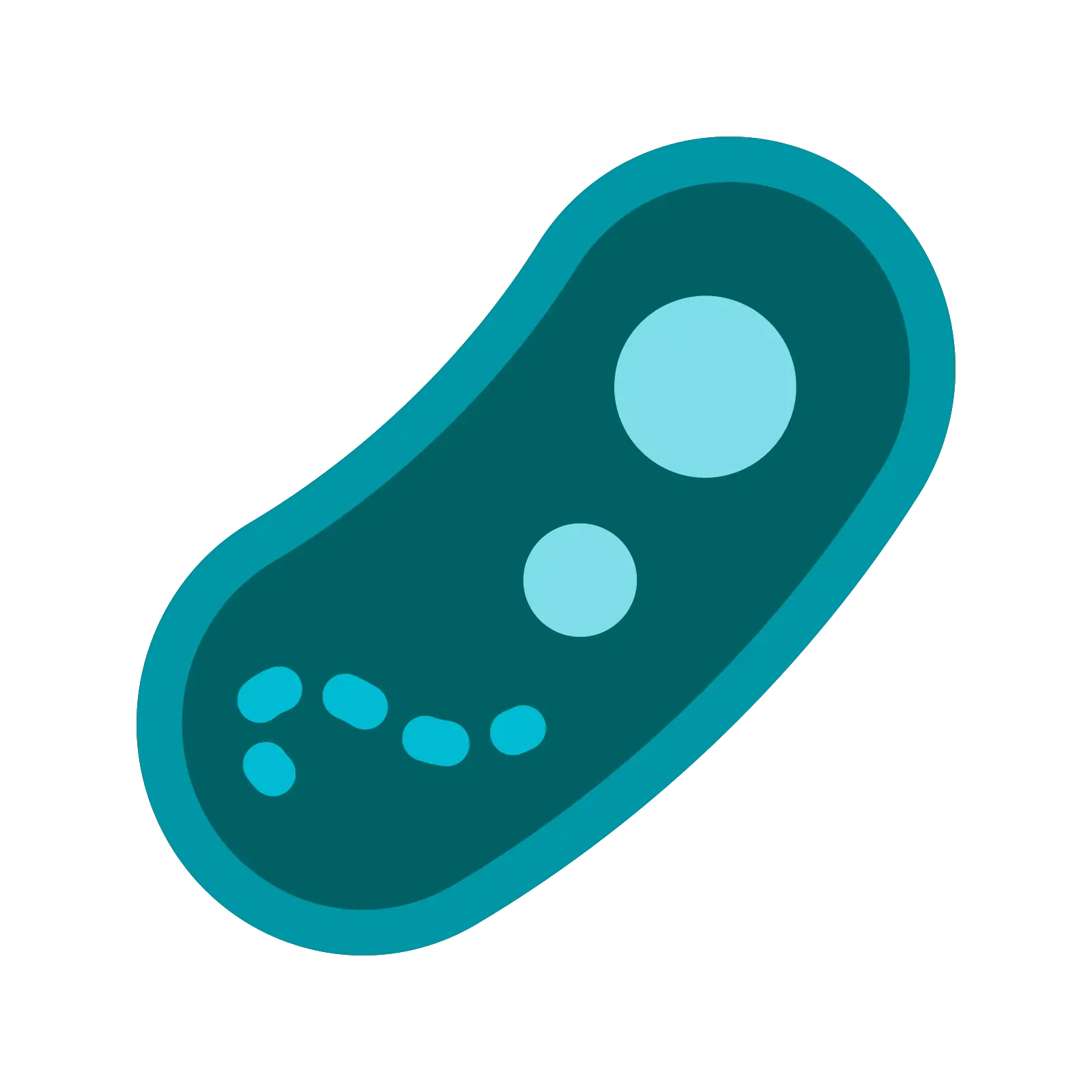 Illustration of a Bacterium