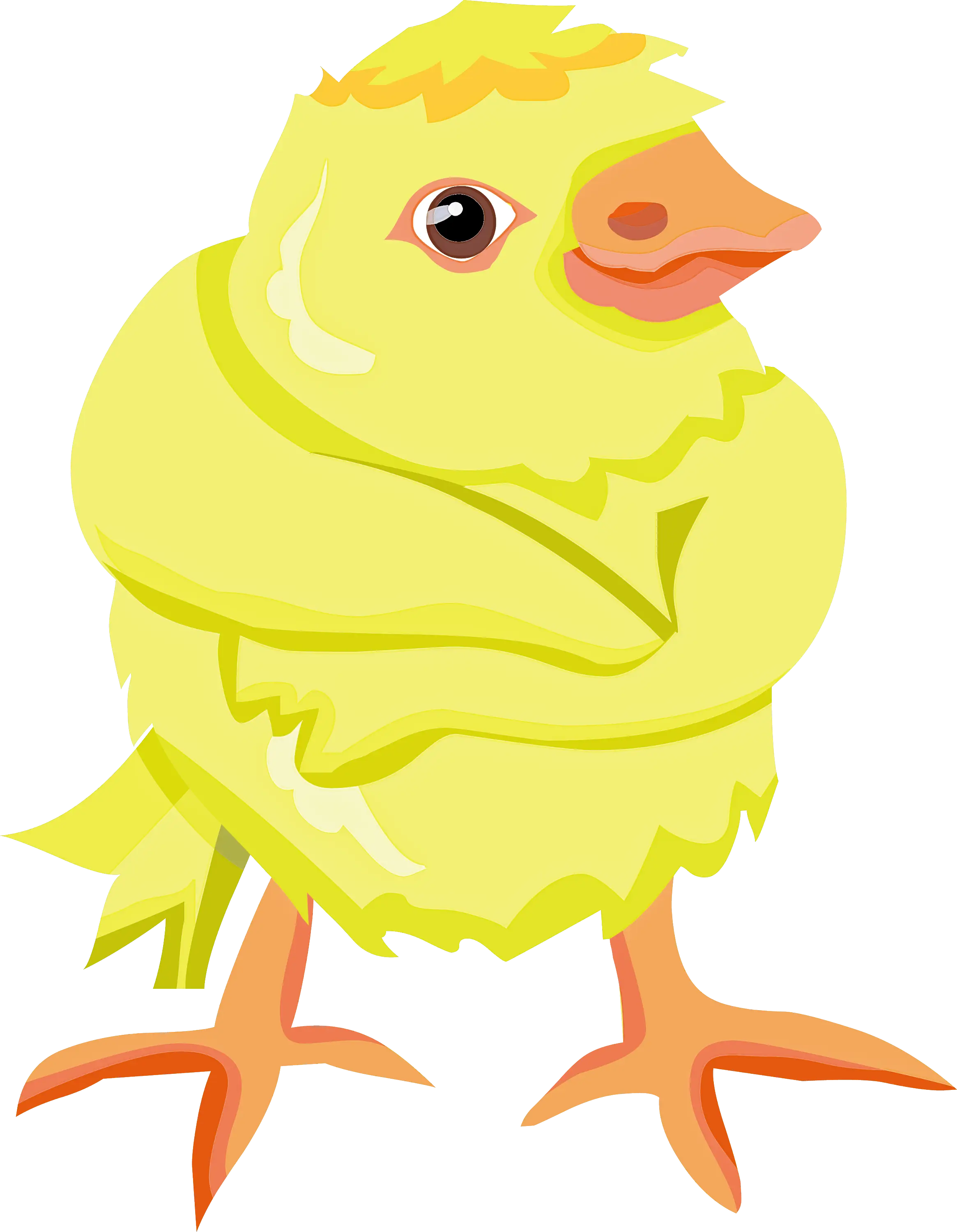 Cute Yellow Cartoon Baby Chick